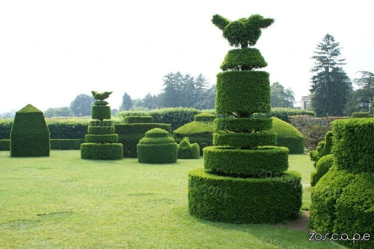 景观植物造型雕塑