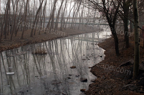 项目景观改造前实景-臭水沟