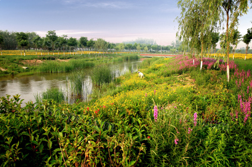 景观意向图,生态景观,滨水景观,生态湿地景观，河道改造，景观实景，景观设计，景观意向   ... ... ... ...