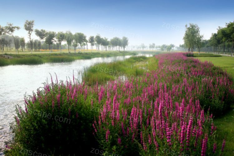 河道改造景观意向图景观概念设计