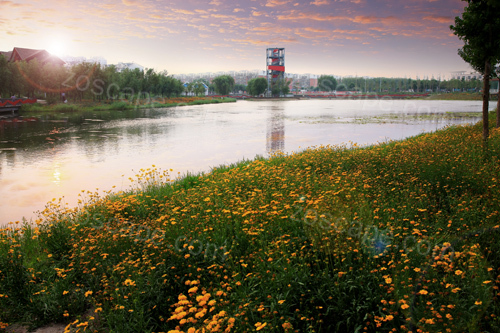 三里河生态廊道 景观设计湿地改造