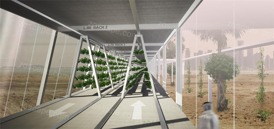 水培农业  节水灌溉 农业  景观  绿色长廊  