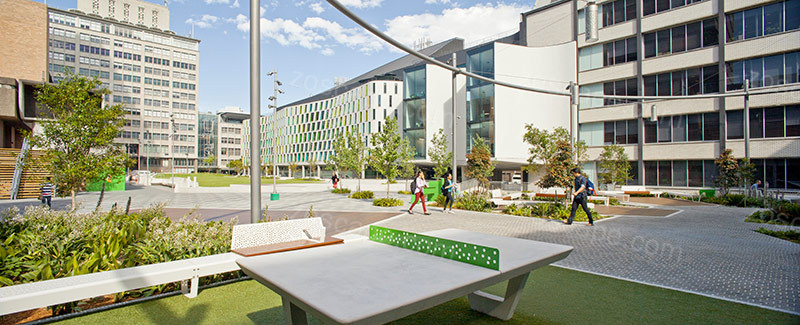 学校绿地景观规划设计    大学校园景观设计  学校中心广场景观设计