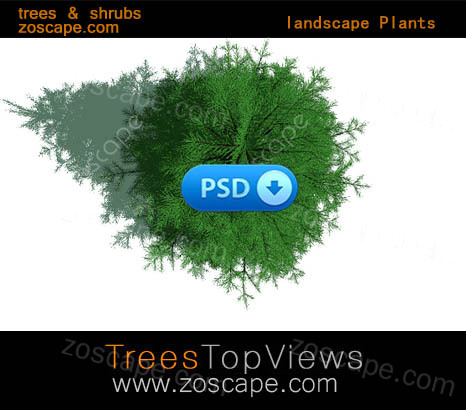  psd    景观设计  园林 源文件 园林景观素材  平面图 植物素材