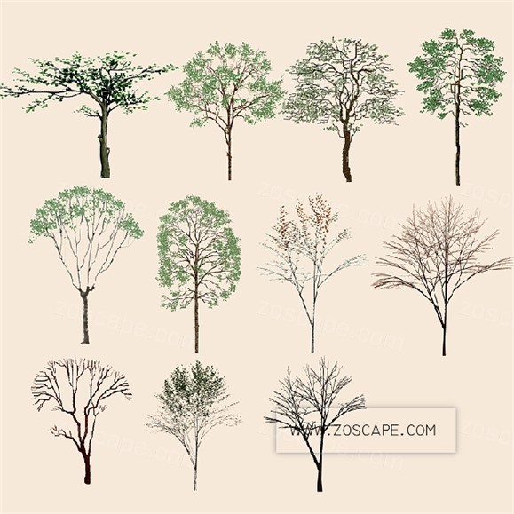 300种PSD水彩手绘园林植物草地灌木-平面图效果图后期植物