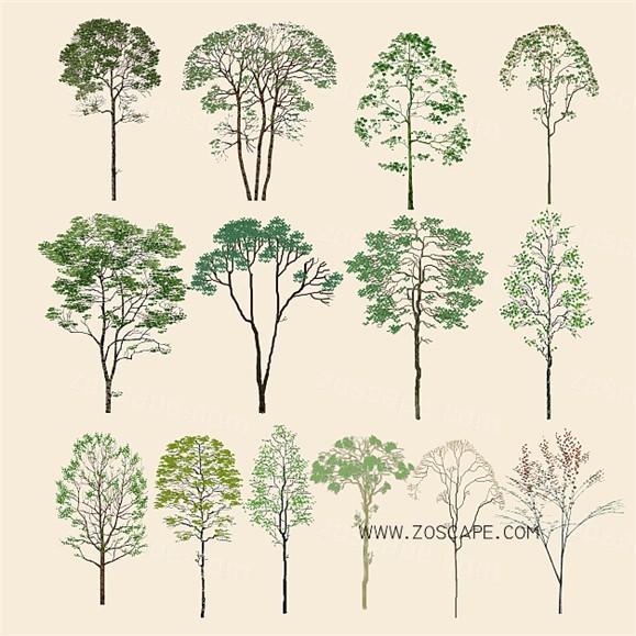 300种PSD水彩手绘园林植物草地灌木-平面图效果图后期植物