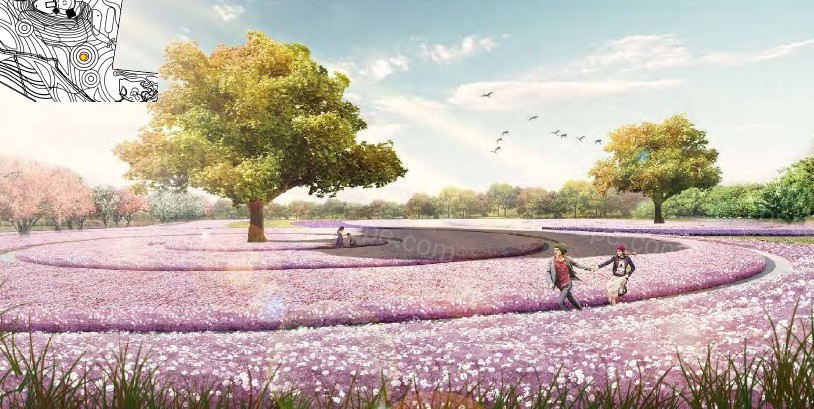 花卉艺术展示区-花海公园-花田旅游区景观设计方案文本
