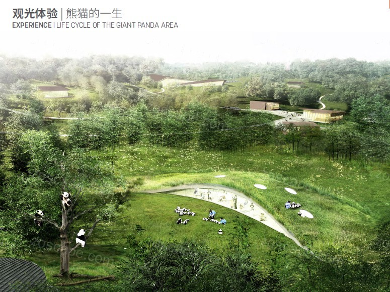  世界旅游目的地-中国成都熊猫基地新一轮规划方案竞赛