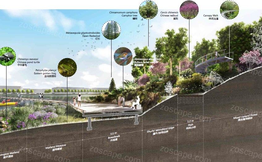 城市教育科研产业园-高新技术科技园区景观规划设计方案文本