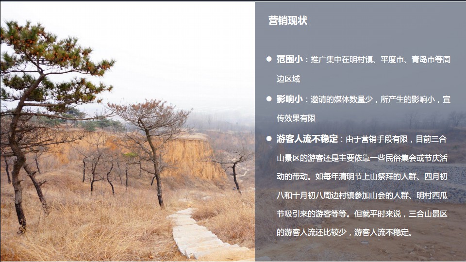 红色旅游景区-百亩果园景点-三合山旅游景区营销推广方案pdf_0_1217154356.jpg