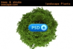 景观规划psd格式高清素材- 植物图例 -2d贴图素材 to 园林景观设计意向图库-园林景观学习网