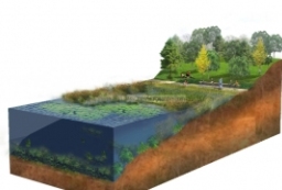 滨湖公园景观设计-海绵城市建设-生态驳岸PSD剖面图 to 园林景观设计意向图库-园林景观学习网