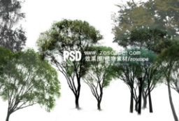 4组psd景观效果图植物贴图素材下载 to 园林景观设计意向图库-园林景观学习网