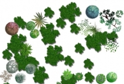 PSD景观总平面分层素材-园林彩平植物素材下载 to 园林景观设计意向图库-园林景观学习网