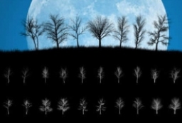 园林景观平面树ps笔刷-冬季枯树乔木笔刷素材 to 园林景观设计意向图库-园林景观学习网