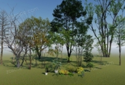 36款Lumion各版本通用建筑景观规划植物配景素材模型库 to 园林景观设计意向图库-园林景观学习网
