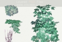 ブッシュ园林植物水彩手绘-PSD日本枯山水乔灌木素材 to 园林景观设计意向图库-园林景观学习网