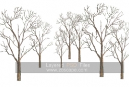 5组园林景观植物贴图-枯树枝背景树贴图素材下载 to 园林景观设计意向图库-园林景观学习网