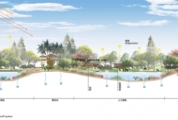城市人工湿地-公园观鸟台-雨水花园雨洪管理系统PSD剖面图 to 园林景观设计意向图库-园林景观学习网