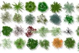 32个园林植物平面图素材-PSD高清乔木灌木植物图例 to 园林景观设计意向图库-园林景观学习网