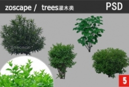 日本精细景观植物素材-高分辨率园林植物素材 to 园林景观设计意向图库-园林景观学习网