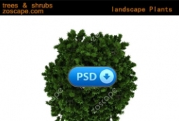 高清素材-平面图鸟瞰图植物psd素材下载 to 园林景观设计意向图库-园林景观学习网