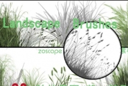 景观效果图必备：28种芦苇绿草草丛笔刷 to 园林景观设计意向图库-园林景观学习网