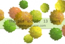 一组园林景观彩色PSD平面图植物tree素材 to 园林景观设计意向图库-园林景观学习网