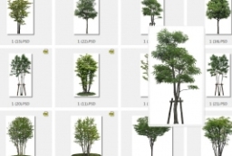 650MB韩国PS高清植物素材-ps后期树木乔木素材下载 to 园林景观设计意向图库-园林景观学习网