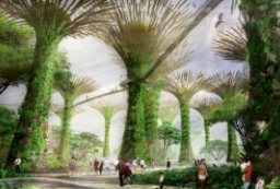 生长的树-新加坡海滨公园-南湾植物园东湾花园景观设计 to 园林景观设计意向图库-园林景观学习网