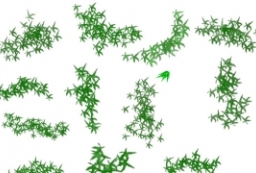 13组不同形态竹子平面图素材png透明贴图 to 园林景观设计意向图库-园林景观学习网