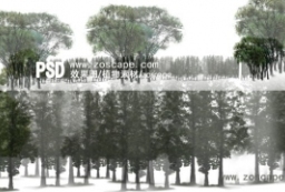 4组树木素材-园林景观效果图植物素材 to 园林景观设计意向图库-园林景观学习网
