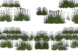 草灌木贴图素材下载-园林建筑景观效果图植物素材 to 园林景观设计意向图库-园林景观学习网