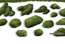 青苔景石-苔藓微地形景观石-特色草丛 to 园林景观设计意向图库-园林景观学习网