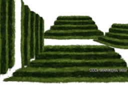 迷宫花园设计-植物迷宫台阶素材下载 to 园林景观设计意向图库-园林景观学习网