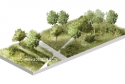 园林景观轴测图-公园绿地PSD剖面图 to 园林景观设计意向图库-园林景观学习网