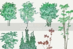 PSD水彩の手描きの庭の植物水彩手绘日式漫画冷系乔灌木 to 园林景观设计意向图库-园林景观学习网