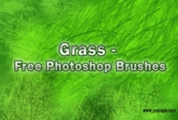 Grass 草丛笔刷免费下载-效果图后期用笔刷素材 to 园林景观设计意向图库-园林景观学习网