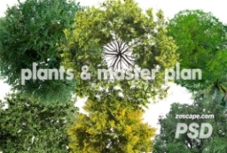 15组4K极清国际风格景观植物-PSD平面树贴图下载 to 园林景观设计意向图库-园林景观学习网