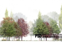 高清PSD分层植物种植形式素材-PSD植物乔木树素材 to 园林景观设计意向图库-园林景观学习网