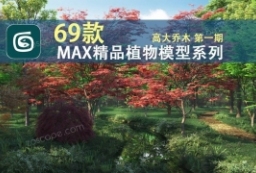精品资源-69款3DMAX高精度乔木树木草木植物模型 to 园林景观设计意向图库-园林景观学习网