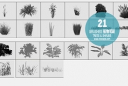 21种植物笔刷合集-园林景观效果图必备素材 to 园林景观设计意向图库-园林景观学习网