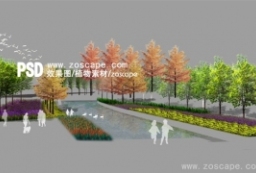 一组园林彩叶乔木植物素材-行道树植物贴图 to 园林景观设计意向图库-园林景观学习网