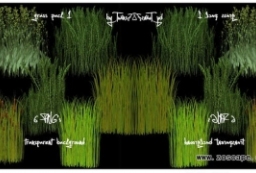 园林景观效果图素材-6组灌木野草植物贴图下载 to 园林景观设计意向图库-园林景观学习网