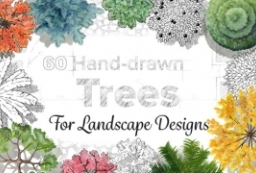 60 watercolor trees-hand-drawn trees to 园林景观设计意向图库-园林景观学习网