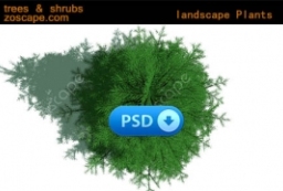 园林景观平面图鸟瞰图植物PSD素材下载 to 园林景观设计意向图库-园林景观学习网