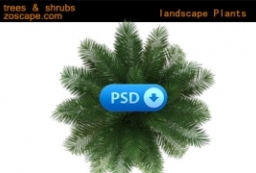 psd植物贴图素材下载-2D植物图例贴图 to 园林景观设计意向图库-园林景观学习网
