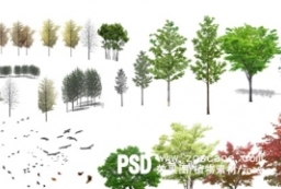 4组园林乔木植物PS素材-彩叶乔木植物配图 to 园林景观设计意向图库-园林景观学习网