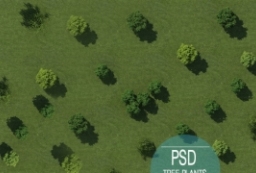 国际精品-PSD分层鸟瞰顶视图树-总图植物素材 to 园林景观设计意向图库-园林景观学习网