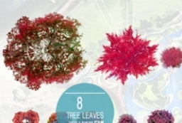 8种秋色叶树植物素材-总图植物图例psd下载 to 园林景观设计意向图库-园林景观学习网
